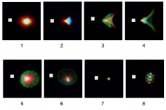 点扩散函数为什么不能用来定量描述图像质量